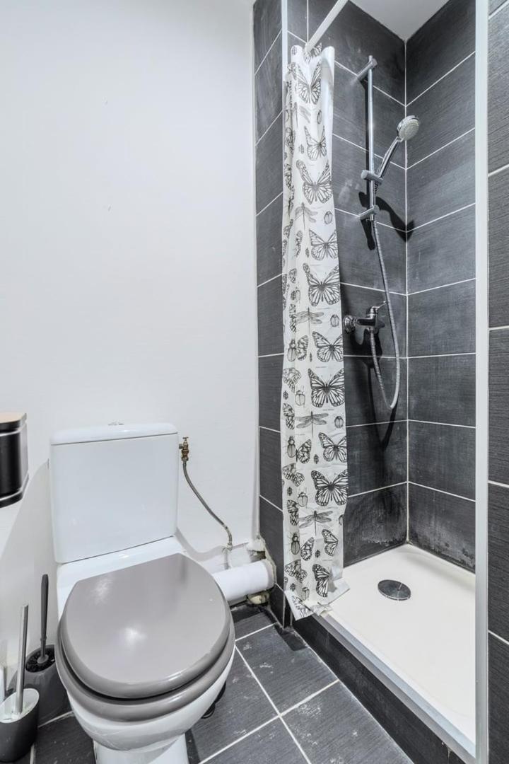 Beautiful Renovated Appart In The Center Of Λιλ Εξωτερικό φωτογραφία